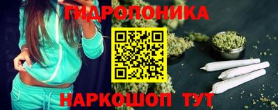 ешки Бердск