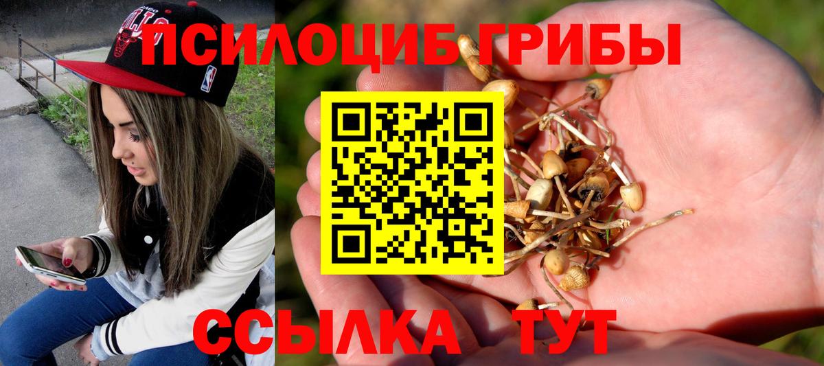 Галлюциногенные грибы мухоморы  дарнет шоп  Псилоцибиновые грибы Cubensis  Богородск  Вход с VPN 
